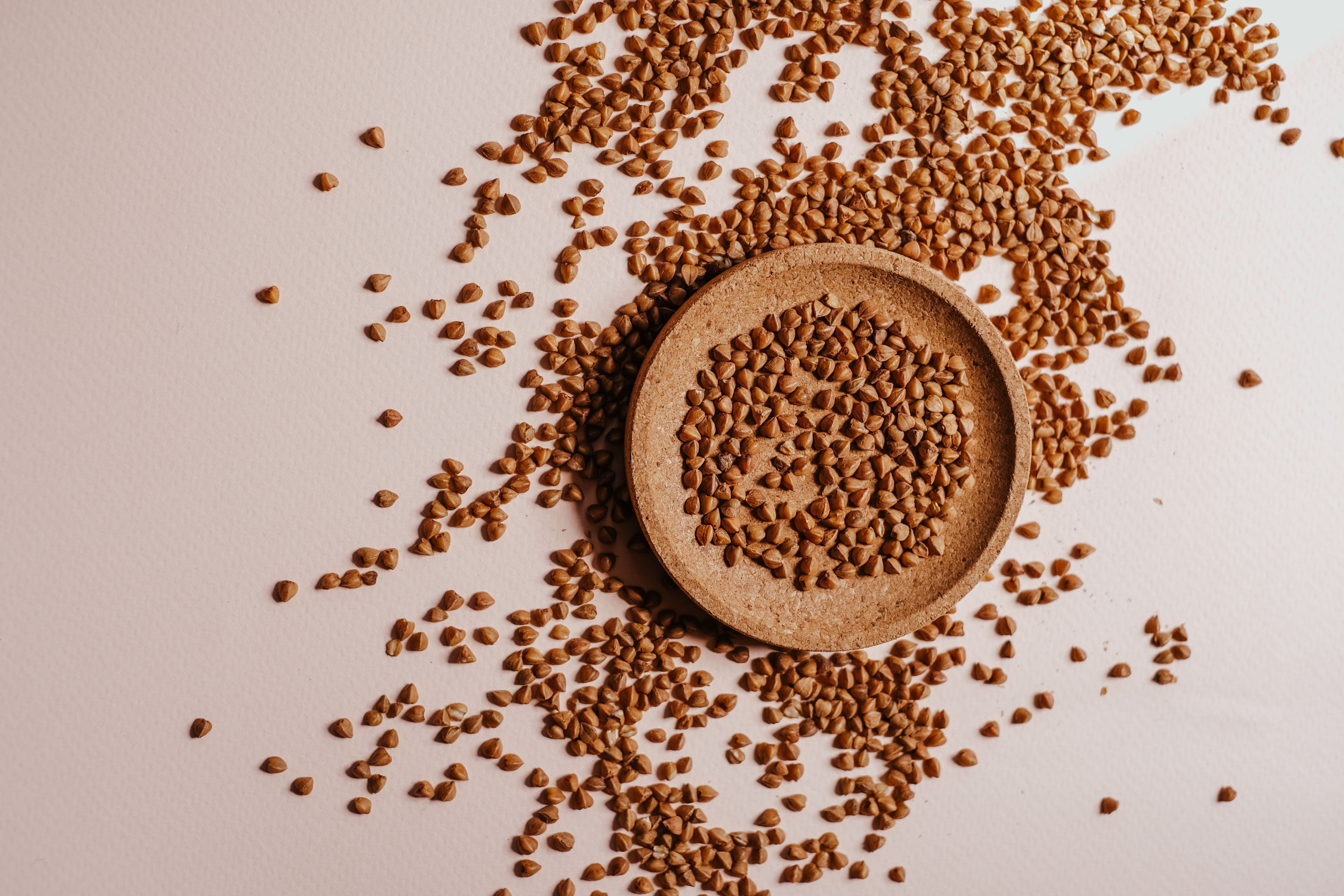 What Is Buckwheat? A guide for dog owners