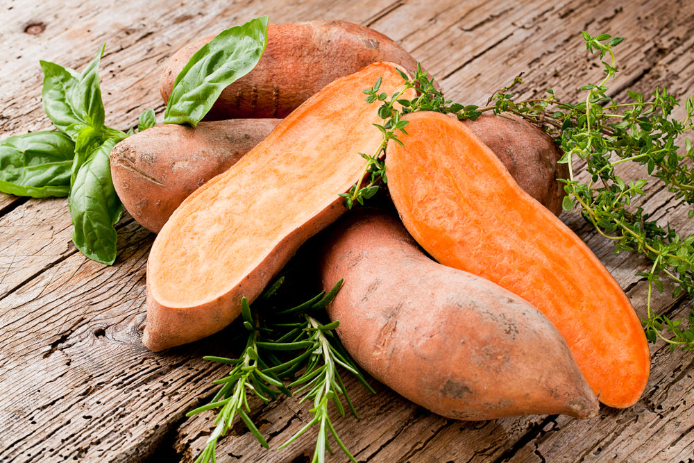 Sweet Potato Benefits: A Superfood for Your Canine Companion