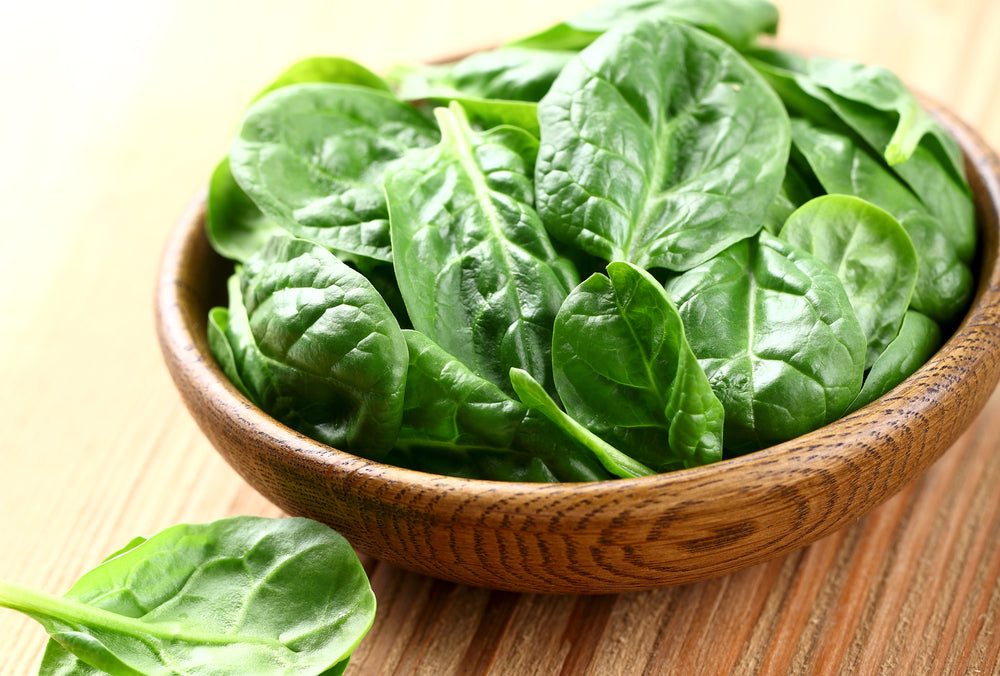 Unveiling the Power of Spinach: A Superfood for Your Furry Friend