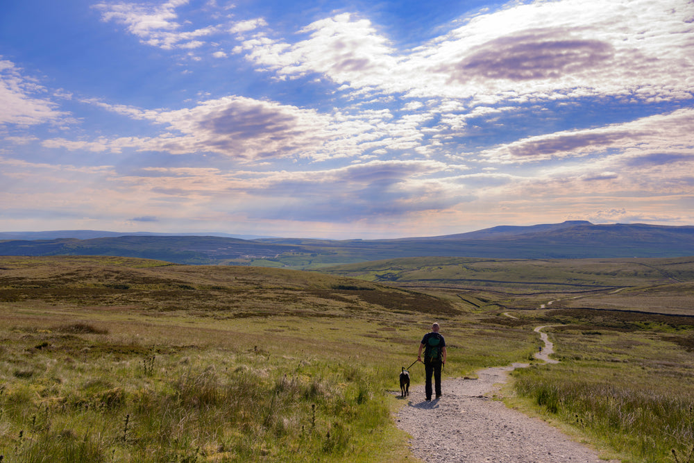 Yorkshire Terry's Pawsome Adventures: The Best Dog Walks in Yorkshire!