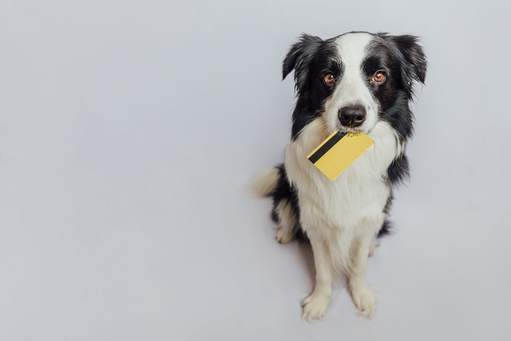 Harringtons Affordable Natural Pet Food