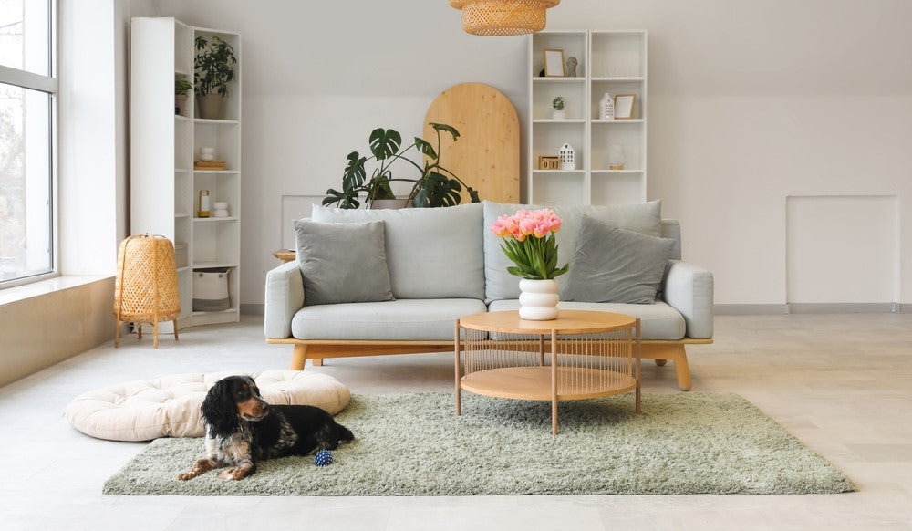The Ultimate Guide to renting with your dog – Harringtons Pet Food