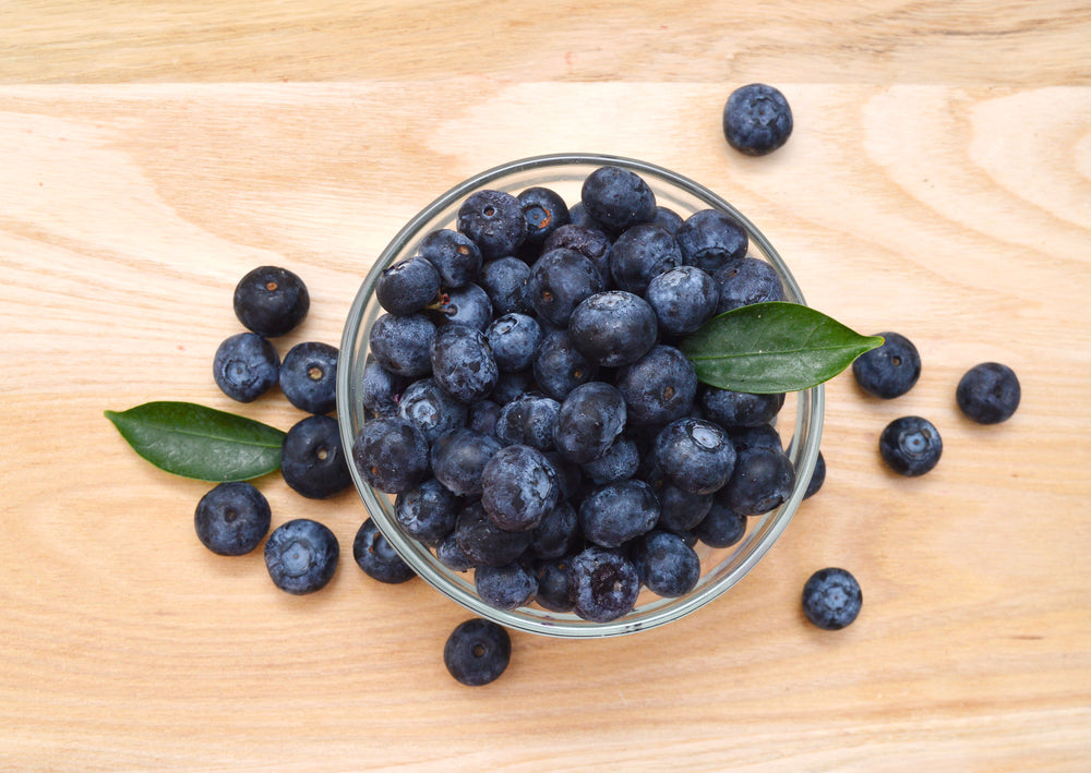 Unleashing the Power of Blueberries: A Superfood Boost for Your Canine Companion