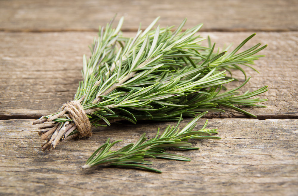 Rosemary for dogs: is it safe and what does it do?