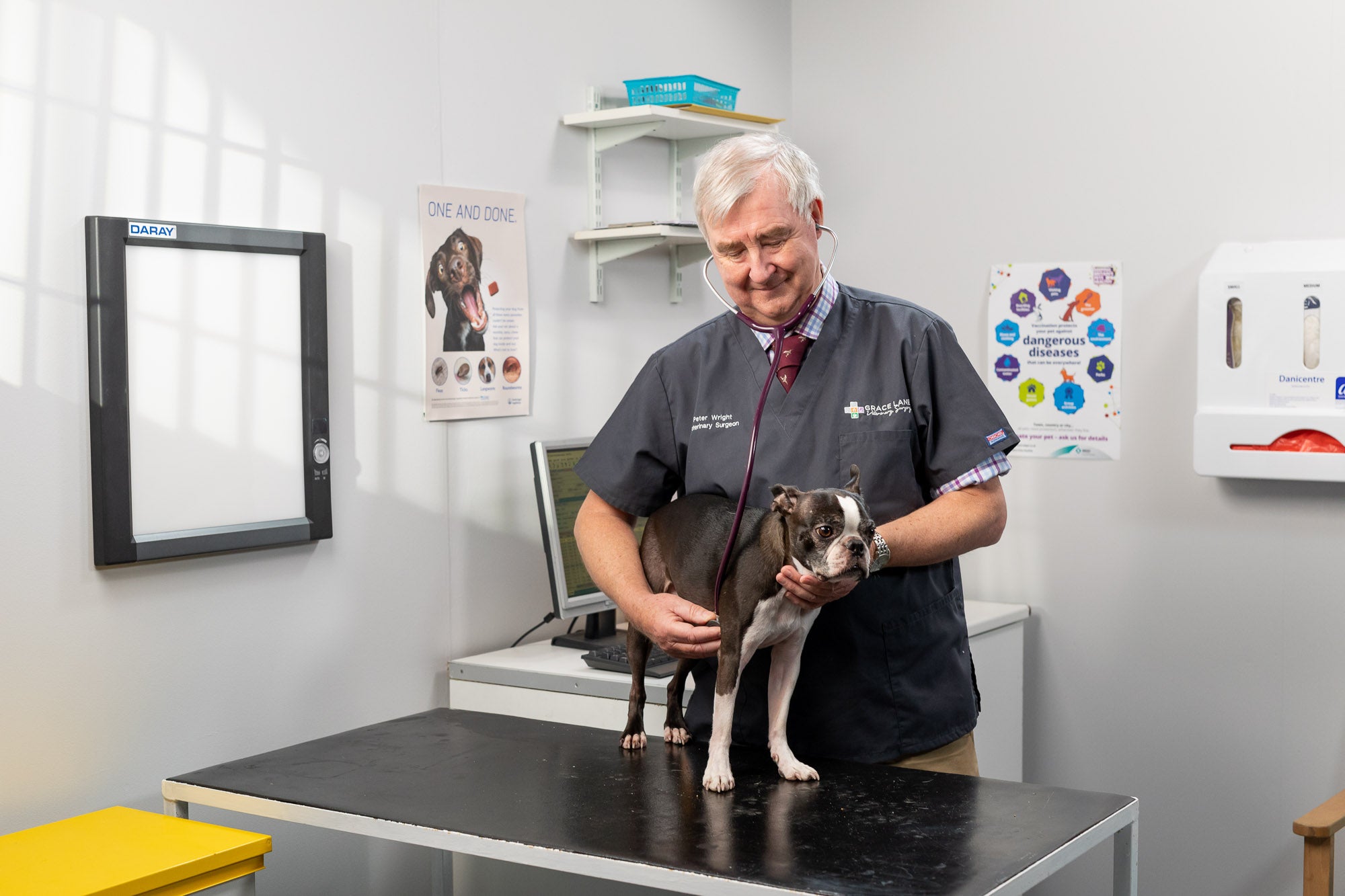 Ask the Vet: What is pancreatitis in dogs?