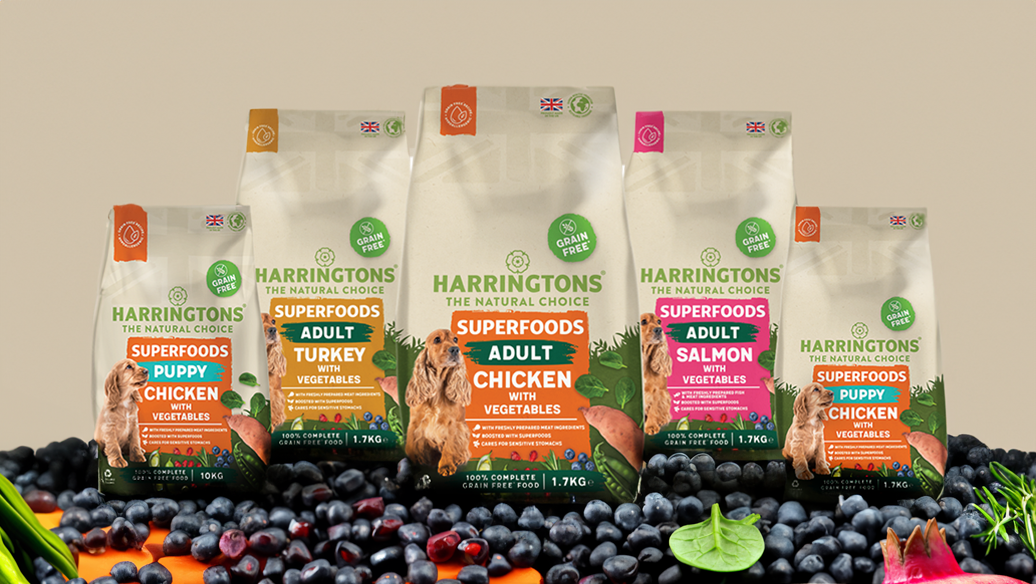 Harringtons superfoods dog food range in turkey, chicken, and salmon