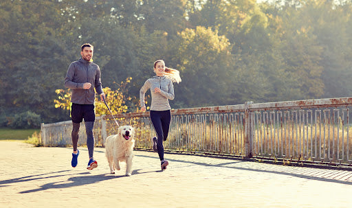 Top Tips for Exercising with your Dog this Summer