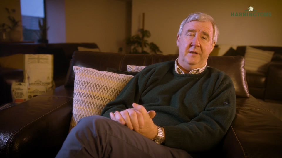 Why do I need to worm my dog? Harringtons Pet Food