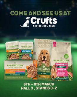 Crufts 2025
