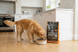 Limited Ingredient Dog Food - Just 6