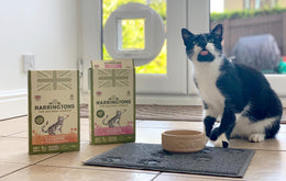 Senior Cat Food
