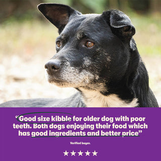 Dry Senior Dog Food Rich in Chicken & Rice 12kg