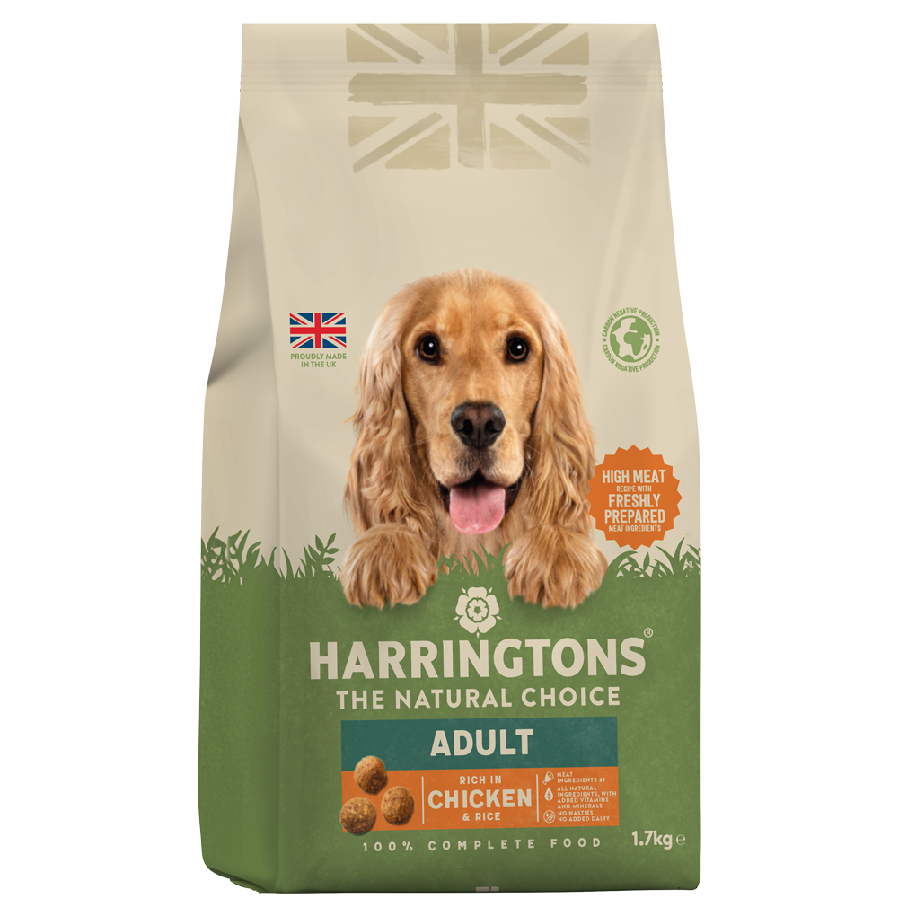 Cocker spaniel dog food clearance