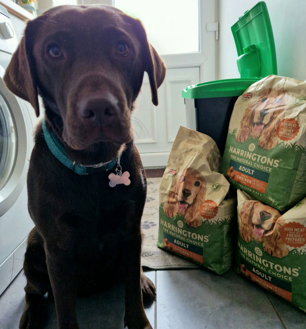 Rich Chicken & Rice Dry Dog Food Harringtons Harringtons Pet Food