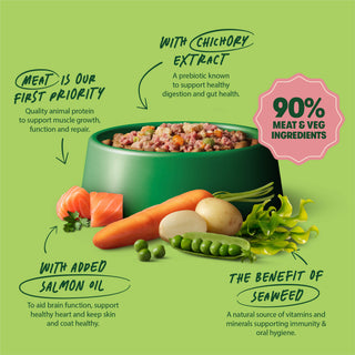 Salmon with Potato & Vegetables Grain Free Wet Dog Food 8 x 400g