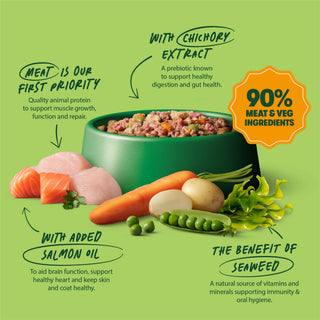 Turkey with Potato & Vegetables Grain Free Wet Dog Food 8 x 400g
