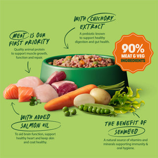 Grain Free Mixed Wet Dog Food Bumper Pack 16 x 400g