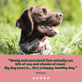 Grain Free Tasty Selection Wet Dog Food Bumper Pack 6 x 150g - Image 6