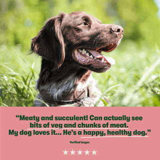 Grain Free Tasty Selection Wet Dog Food Bumper Pack 6 x 150g