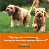 Harringtons Superfoods Grain-Free Dry Adult Dog Food Chicken & Vegetables 12kg - Image 6