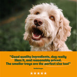 Grain Free Poultry Selection Wet Dog Food Bumper Pack 6 x 150g - Image 6