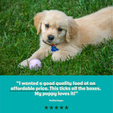 Chicken with Potato & Vegetables Grain Free Wet Puppy Food 8 x 380g - Image 6