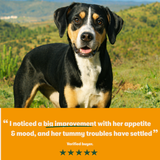 Harringtons Superfoods Grain-Free Dry Adult Dog Food Turkey & Vegetables 1.7kg - Image 6