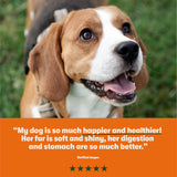 Grain Free Mixed Wet Dog Food Bumper Pack 16 x 400g - Image 3