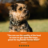 Chicken with Potato & Vegetables Grain Free Wet Dog Food 8 x 400g - Image 5