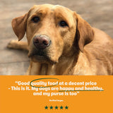 Dry Adult Dog Food Rich in Turkey & Veg 1.7kg - Image 7