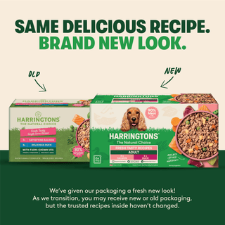 Grain Free Tasty Selection Wet Dog Food Bumper Pack 6 x 150g