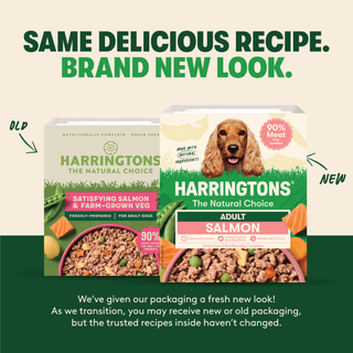 Salmon with Potato & Vegetables Grain Free Wet Dog Food 8 x 400g