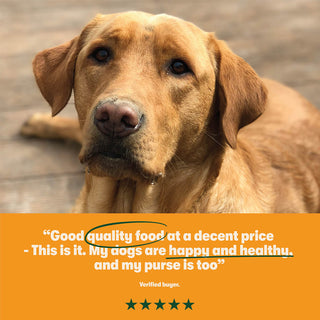 Dry Adult Dog Food Rich in Turkey & Veg 15kg