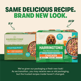 Chicken with Potato & Vegetables Grain Free Wet Puppy Food 8 x 380g