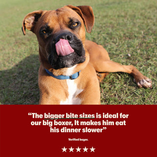 Dry Large Breed Adult Dog Food Rich in Chicken 14kg