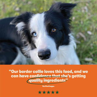 Dry Adult Dog Food Rich in Chicken & Rice 1.7kg