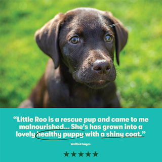 Dry Puppy Food Rich in Chicken & Rice 10kg