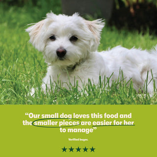 Dry Small Breed Adult Dog Food Rich in Turkey & Rice 5 x 1kg