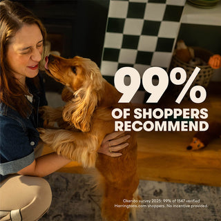 Dry Adult Dog Food Rich in Chicken & Rice 1.7kg