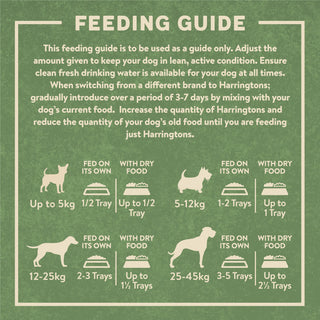 Grain Free Tasty Selection Wet Dog Food Bumper Pack 6 x 150g