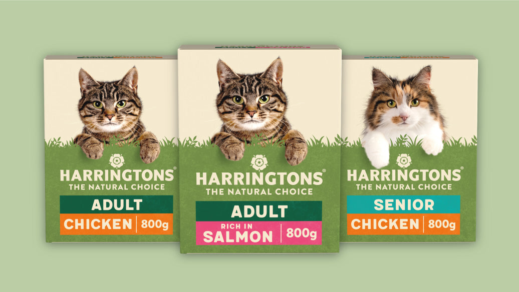 Harringtons Dry Cat Food Natural ingredients Deliciously Tasty
