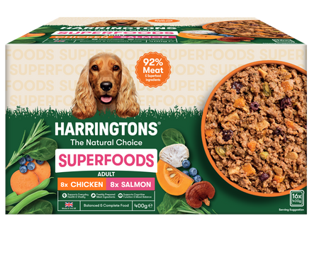 Superfoods Grain Free Wet Dog 16x400g