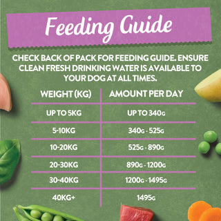 Grain Free Meaty Selection Wet Dog Food Bumper Pack 16 x 400g