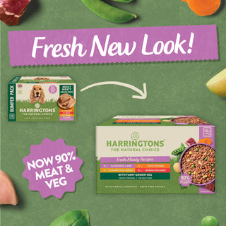Grain Free Meaty Selection Wet Dog Food Bumper Pack 16 x 400g
