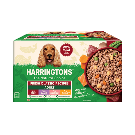 Grain Free Classics Selection Wet Dog Food Bumper Pack 16 x 400g