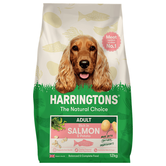 Dry Adult Dog Food Rich in Salmon & Potato 12kg