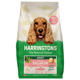 Dry Adult Dog Food Rich in Salmon & Potato 12kg