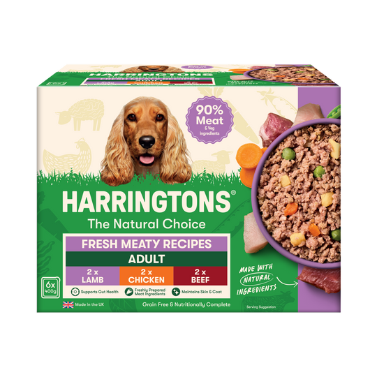 Grain Free Meaty Selection Wet Dog Food 6 x 400g