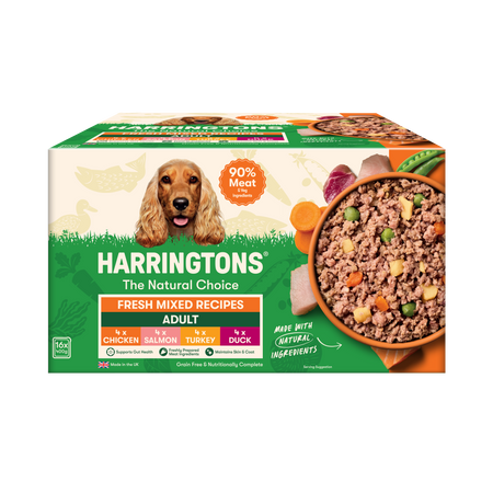 Grain Free Wet Dog Food Bumper Pack 16 x