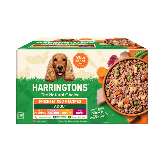 Grain Free Mixed Wet Dog Food Bumper Pack 16 x 400g